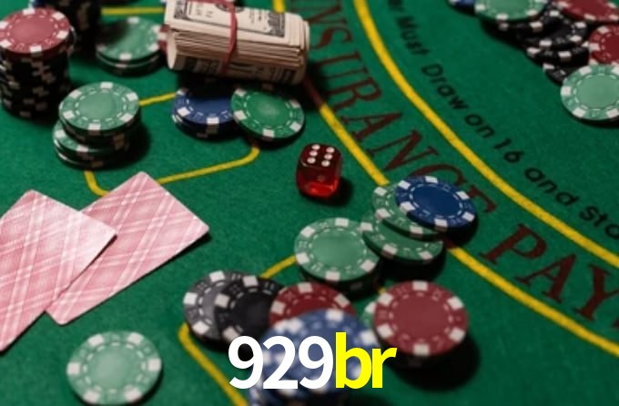929br App Interface